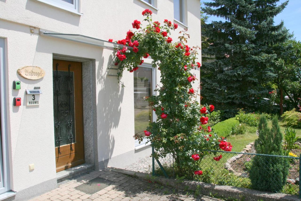 Waldvogel Ferienzimmer Klimatisiert Immenstaad am Bodensee Luaran gambar